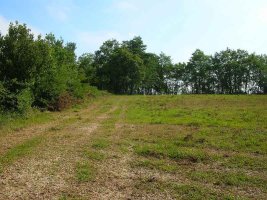 Arriba a la izquierda se coje el sendero cimero.
