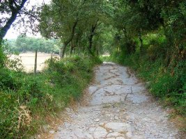 El sendero es bastante pedregoso.