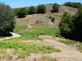 Sabiaundi aldeko igoera