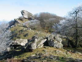 Ekialdeko gandorreko pasarte bat