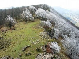 Mendebaldeko gandorra tontorretik ikusita