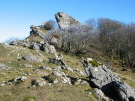 Ekialdeko gandorreko pasarte bat