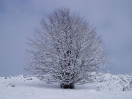 Irukurutzeta inguruan