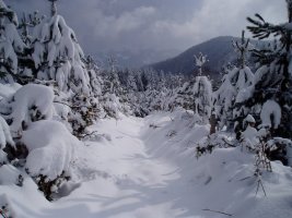 Irukurutzetatik Kerexeta lepora jaisten den bidea