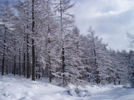 Izeiak Kerexeta lepoa eta Pol-pol iturriaren artean