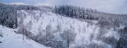 Pol-pol iturriaren inguruak