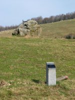 Larrarteko trikuharria