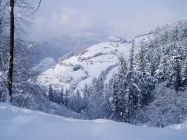 Korta baserritik mendigainera igotzen den bidetik ikuspegia