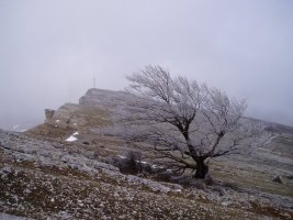 Mirutegi hegoaldetik ikusita