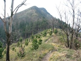 IEko gandorreko bidea