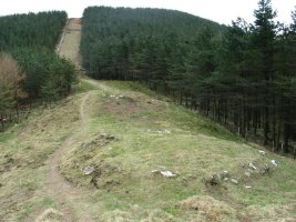 Etzelako mairubaratzak