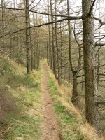 Bidezidorra Hegoaldeko isurialdean