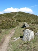 Tontorrerako azken metroak, Htik