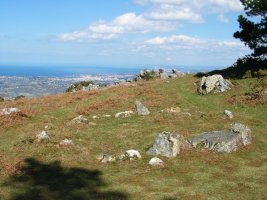 Cromlech bat, Ibardin aldeko igoeran.