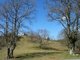 Ez da dena otea, badira paraje ederrak Iparraldeko isurialdean.