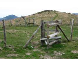 Harpausoak Arano aldeko bizkarrean