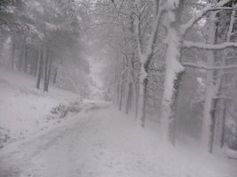 pagasarriko zelaira heltzen