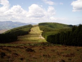 Aizkorrigain Onddoren maldetatik ikusita