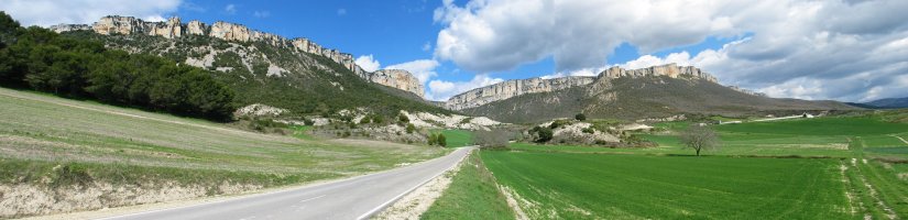 Ganuzara doan errepidetik