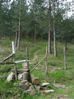 Harpausoa Aztiria aldeko igoeran