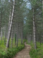 Legazpi aldeko igoera