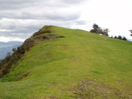 Tontorra ipar-mendebaldetik ikusita