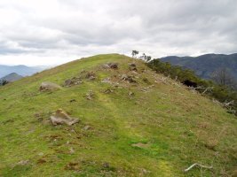 Tontorra hego-ekialdetik ikusita