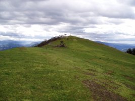 Tontorra ipar-mendebaldetik ikusita