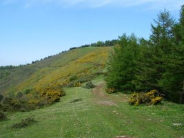 HEko lepotik ikusita