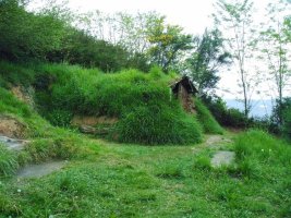 alluitz71@hotmail.com