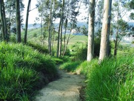 alluitz71@hotmail.com