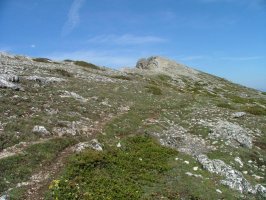 SENDERO QUE LLEVA AL UMIÓN