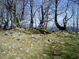 Atxolin Txiki tumulua