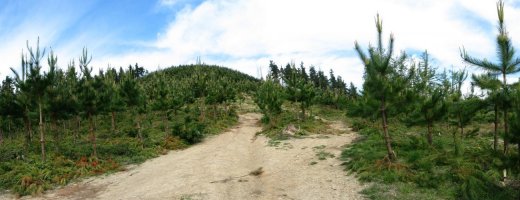 Mendisolo aldeko ikuspegia