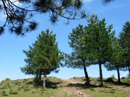 Tontorrerako azken metroak