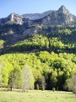 Ordesa aldera erakusten dituen hormak