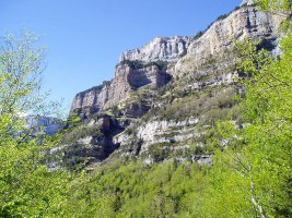 Hego-mendebaldeko hormak