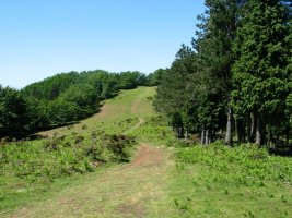 Kurutzebakarreko inguruak