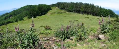 Tontorretik mendebalderako ikuspegia