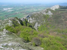 Albeiz eta Olanoren arteko gandorra