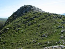 Tontorra Mendebaldetik