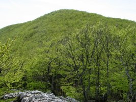 Iparraldeko isurialdea