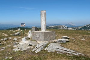 Buzoia eta gainerakoak