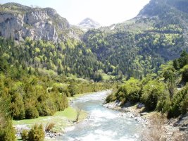 Bujarueloko bailararen ikuspegi bat