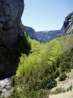 Añiscloko arroilaren ikuspegia Los Estrechos inguruan