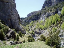 Añiscloko arroilaren goialdea