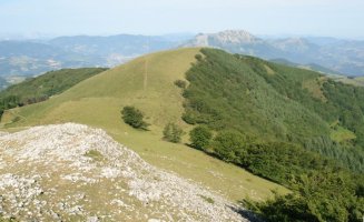 Mendibeltzeko bizkarra tontorretik