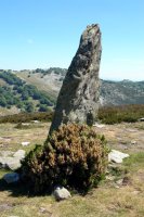 Mugarriluze zutarria