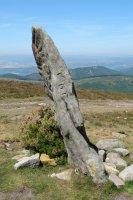 Mugarriluze zutarria