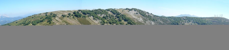 Alabietako baila txikia, iparraldean